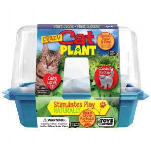 Crazt Cat Plant