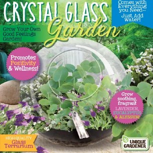 Crystal glass Garden