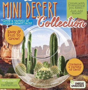 Mini Desert collection