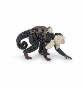 CAPUCHIN MONKEY WITH BABY