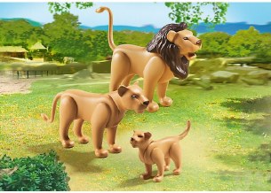LION FAMILY