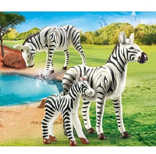 ZEBRAS WITH FOAL