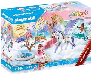 PRINCESSES WITH PEGASUS