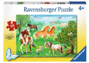 60 PC MUSTANG MEADOW