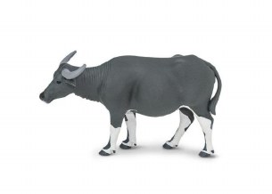 CARABAO