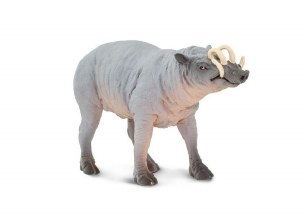 BABIRUSA