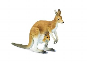 KANGAROO WITH JOEY