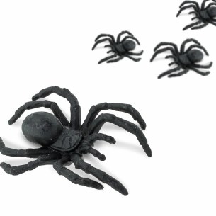 GOOD LUCK MINI SPIDERS