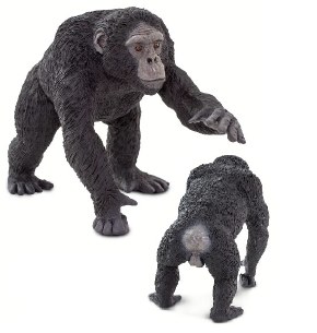 LARGE CHIMPANZEE