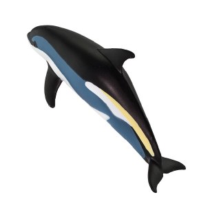 ATLANTIC WHITE SIDED DOLPHIN