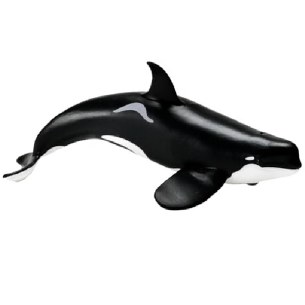 TYPE D ORCA