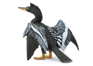 ANHINGA