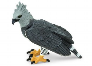 HARPY EAGLE