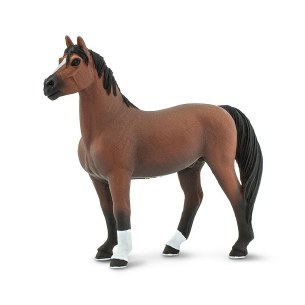 MORGAN STALLION