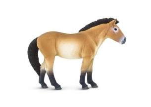 PRZEWALSKI'S HORSE