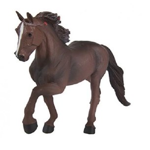 TENNESSEE WALKING HORSE
