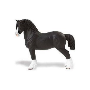 SHIRE STALLION