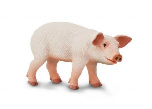 SOW