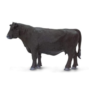 ANGUS COW