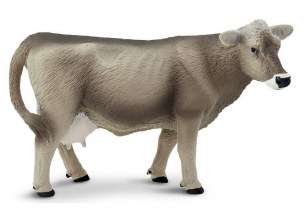 BROWN SWISS COW