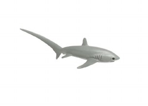 THRESHER SHARK