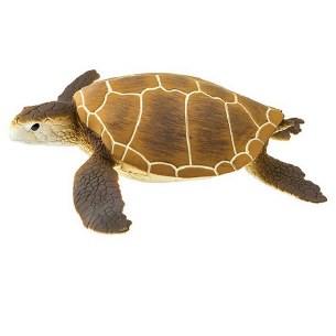 GREEN SEA TURTLE