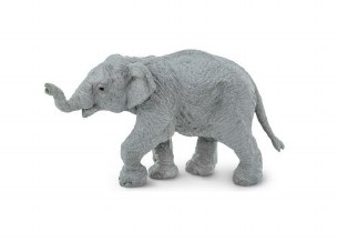 ASIAN ELEPHANT BABY