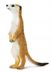 MEERKAT