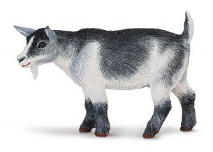NANNY GOAT