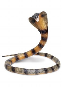 POSABLE COILING COBRA