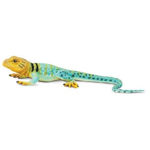 COLLAERD LIZARD