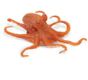 OCTOPUS