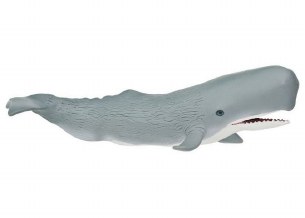 SPERM WHALE