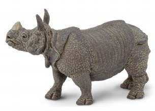 INDIAN RHINO