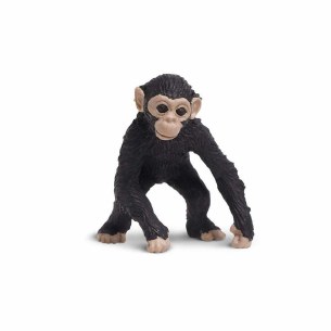 MINI CHIMPS