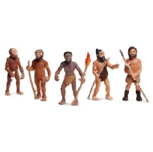 EVOLUTION OF MAN