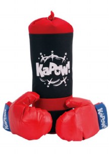 PUNCHING BAG & GLOVES