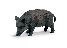 WILD SOW