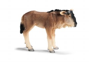 WILDEBEAST CALF