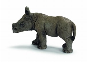 AFRICAN BLACK RHINO CALF