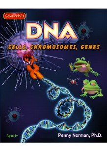 DNA LEARNING KIT