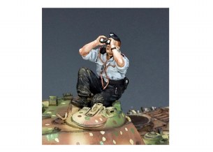 SKY- WATCHING PANZER CREWMAN