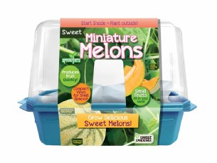 MINI MELONS