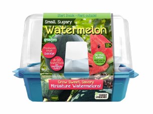 WATERMELON TERRARIUM