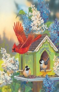 SCORE CARDS 3 PACK  CARDINALS