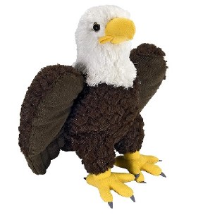 12" BALD EAGLE