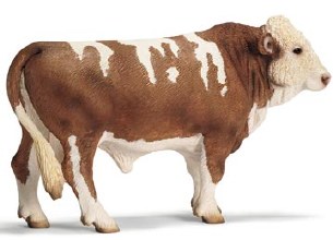 SIMMONTAL BULL
