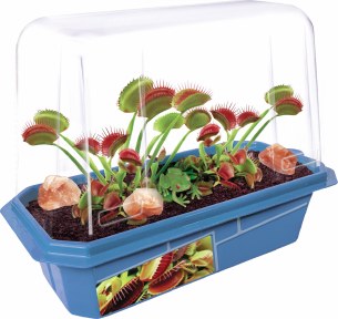 Frightening Flytraps