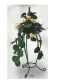 1/12 WROUGHTIRON PLANT STAND