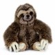 SLOTH